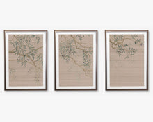 Load image into Gallery viewer, Olive Grove
